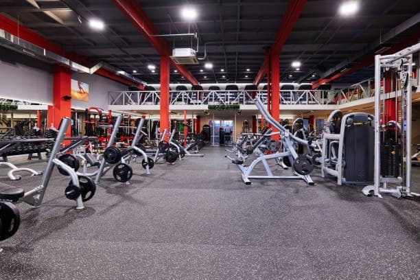 Strength gym interior reference used for generated hero direction